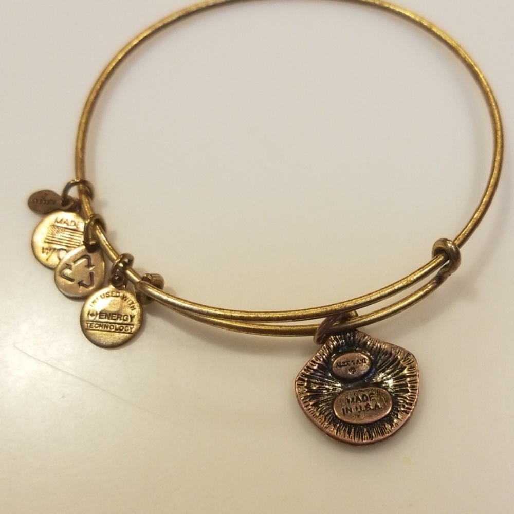Alex and Ani Bracelet - Picture 2 of 4